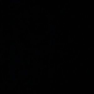 Meet your Posher, Noah